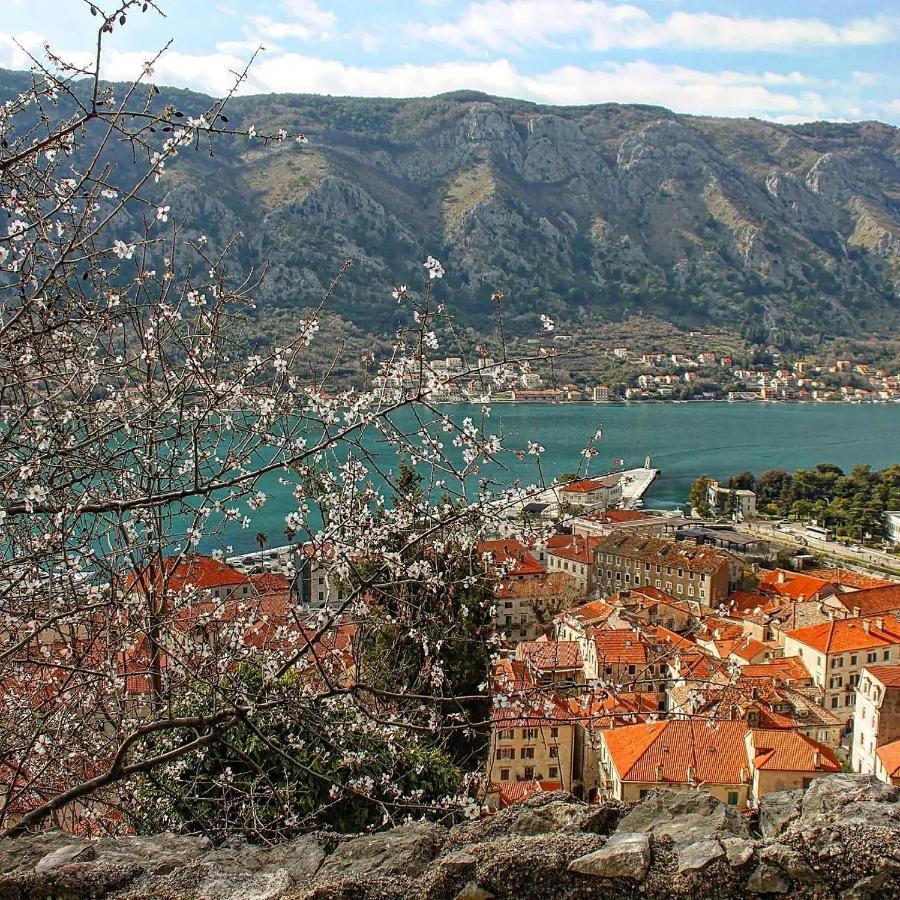Old Town Boskovic Apartment Kotor Exterior photo